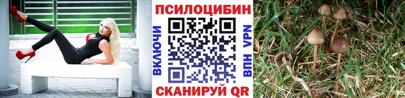 Галлюциногенные грибы мицелий  как найти закладки  kraken ТОР  Моршанск 
